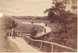 Valley Gardens - Bogs Field*