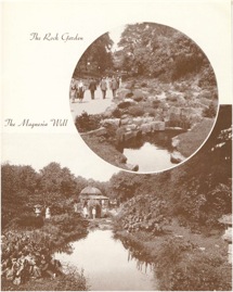 The Rock Garden - 1950