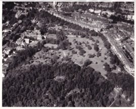 Western Valley Gardens from the air*