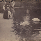 Duck Pond c.1910*