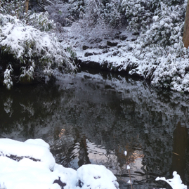 Photo 18 - Stream in Winter