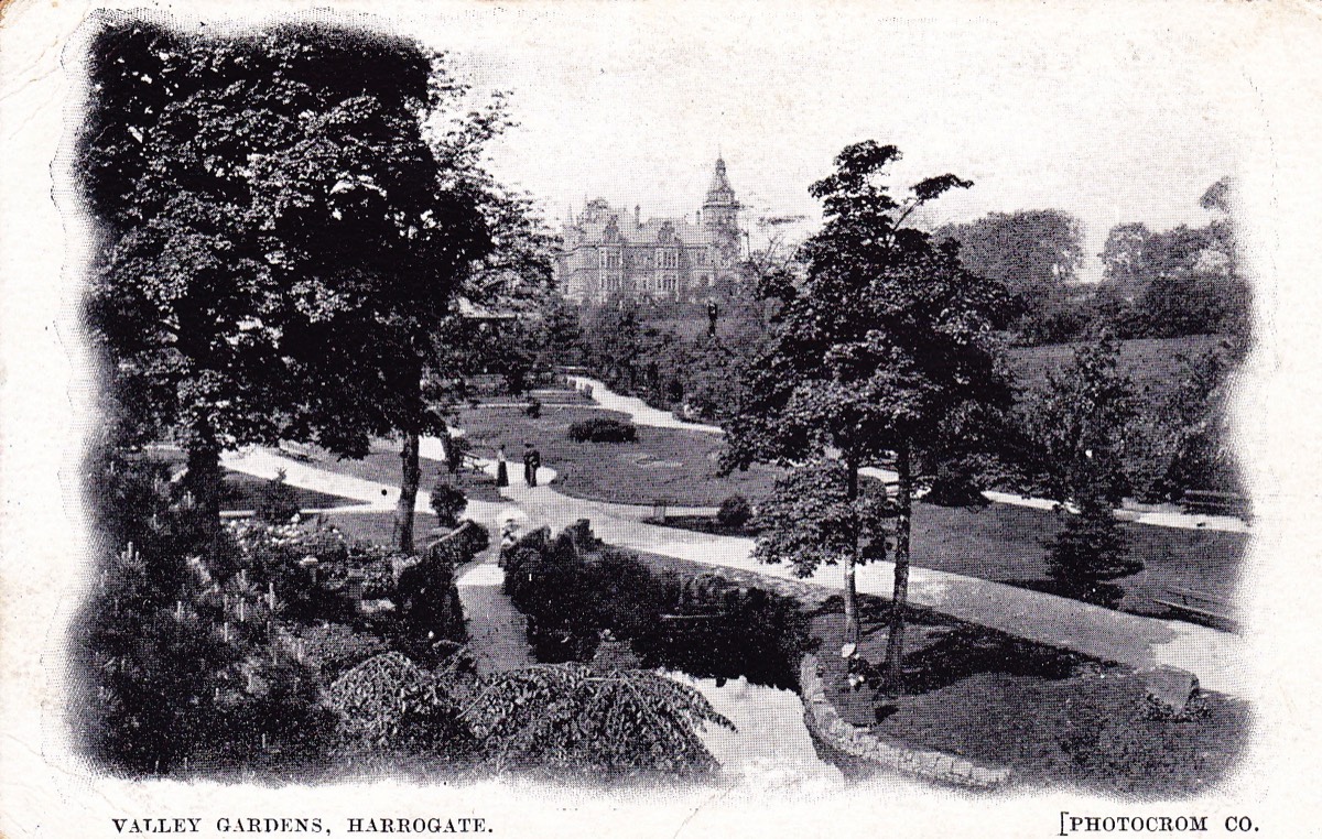 Duck Pond looking Toward Hospital c.1905*