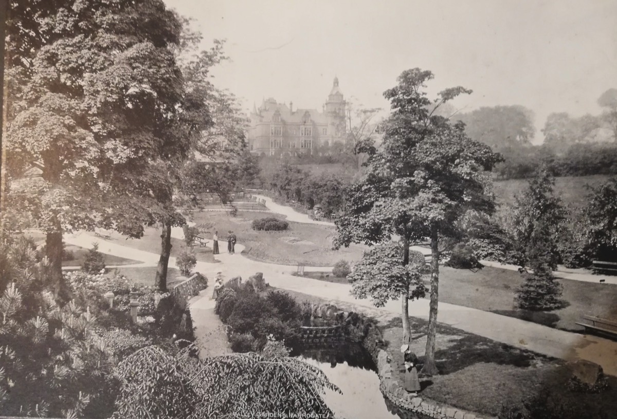 Duck Pond looking Toward Hospital c.1905*