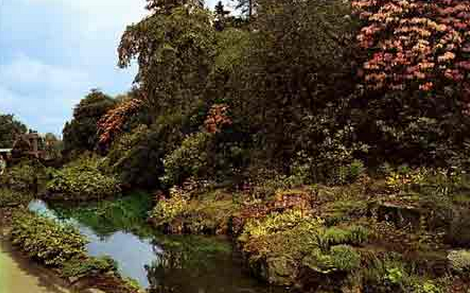 Elgar Walk and Stream