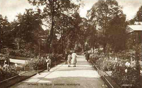 Lime Tree Walk near Entrance